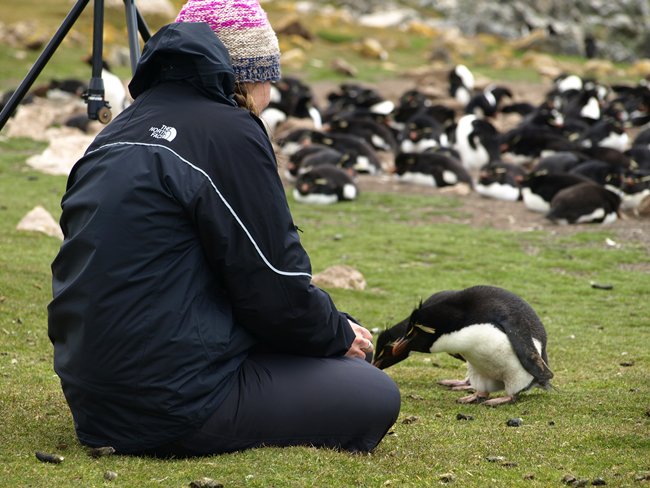 ../../Pictures/241209/013 Rockhopper.JPG